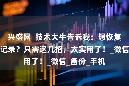 兴盛网  技术大牛告诉我：想恢复删除的聊天记录？只需这几招，太实用了！_微信_备份_手机