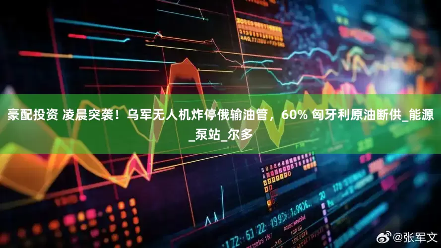 豪配投资 凌晨突袭！乌军无人机炸停俄输油管，60% 匈牙利原油断供_能源_泵站_尔多